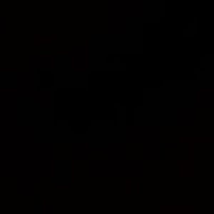 Meet your Posher, Joachim